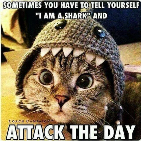 Attack