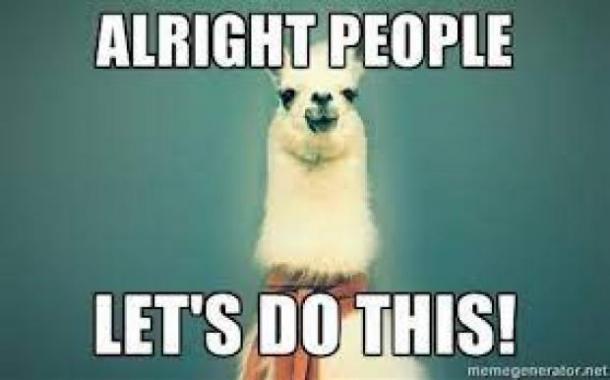 Llama